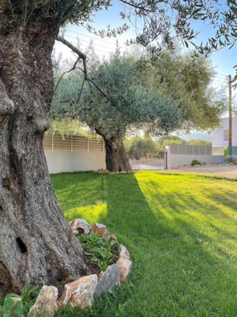 Olives Villa Sinoikismos Kambos Buitenkant foto