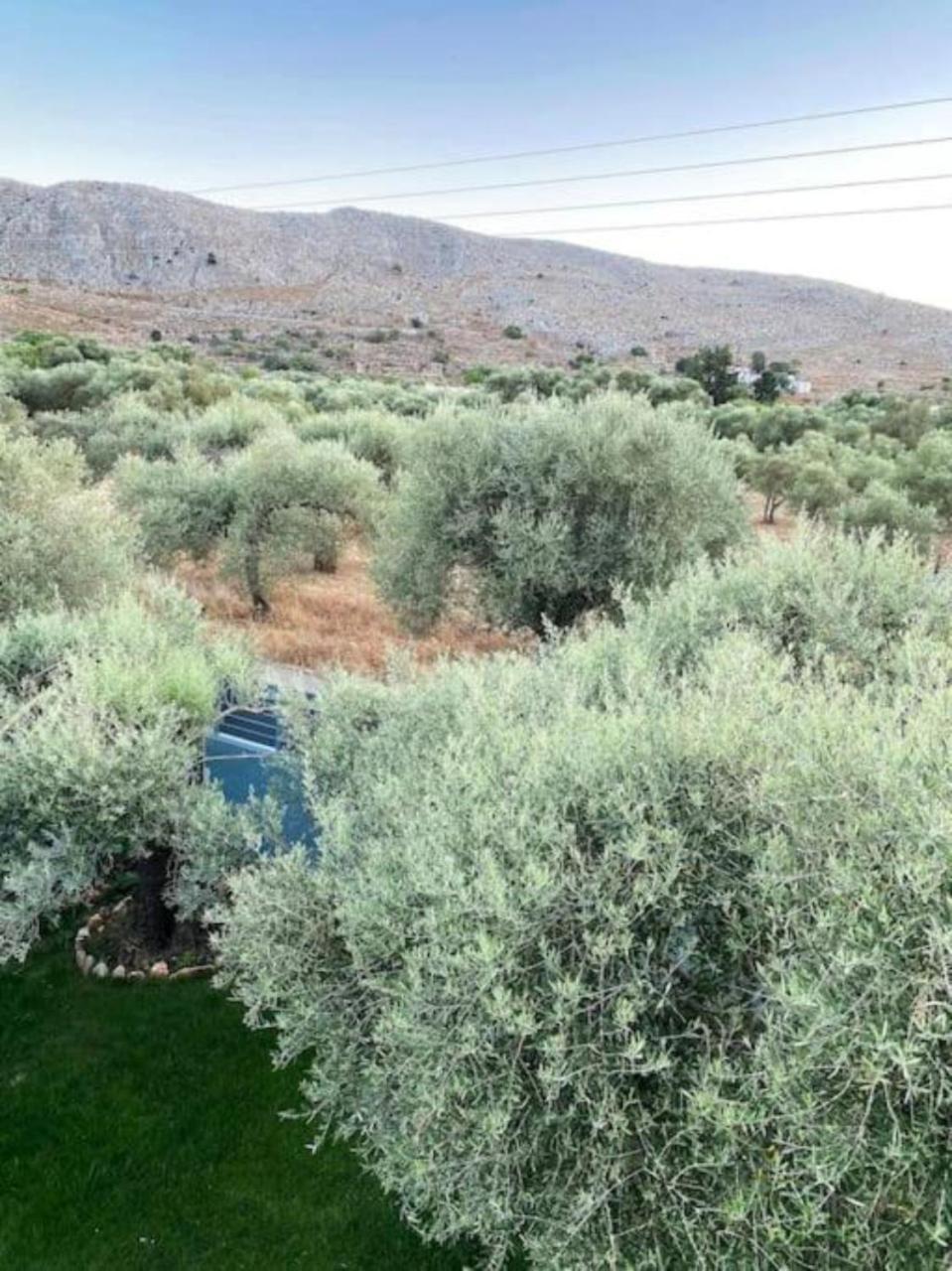 Olives Villa Sinoikismos Kambos Buitenkant foto